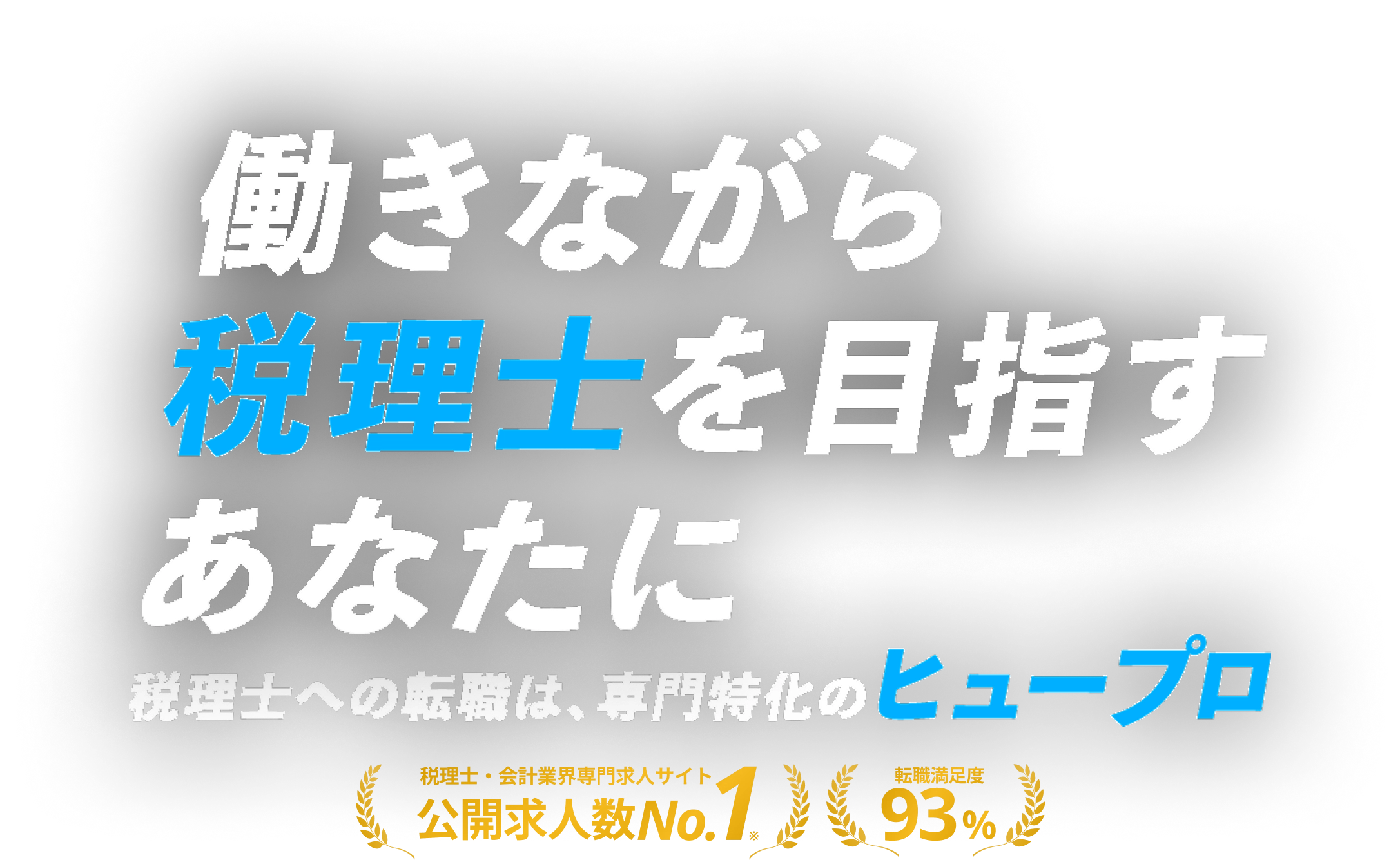 FVメイン画像